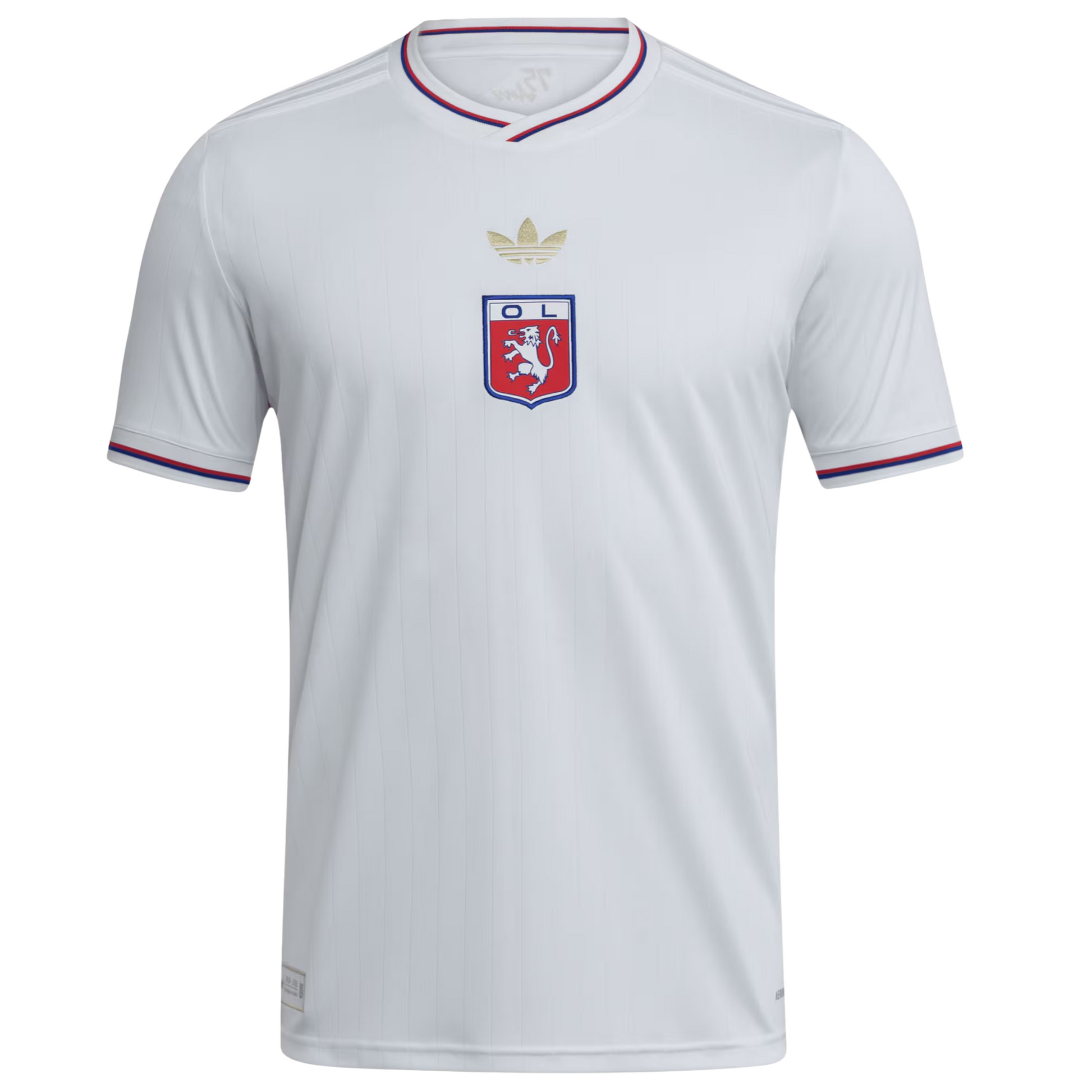 Lyon 2025/26 third football jersey front view with club crest and kit detailing