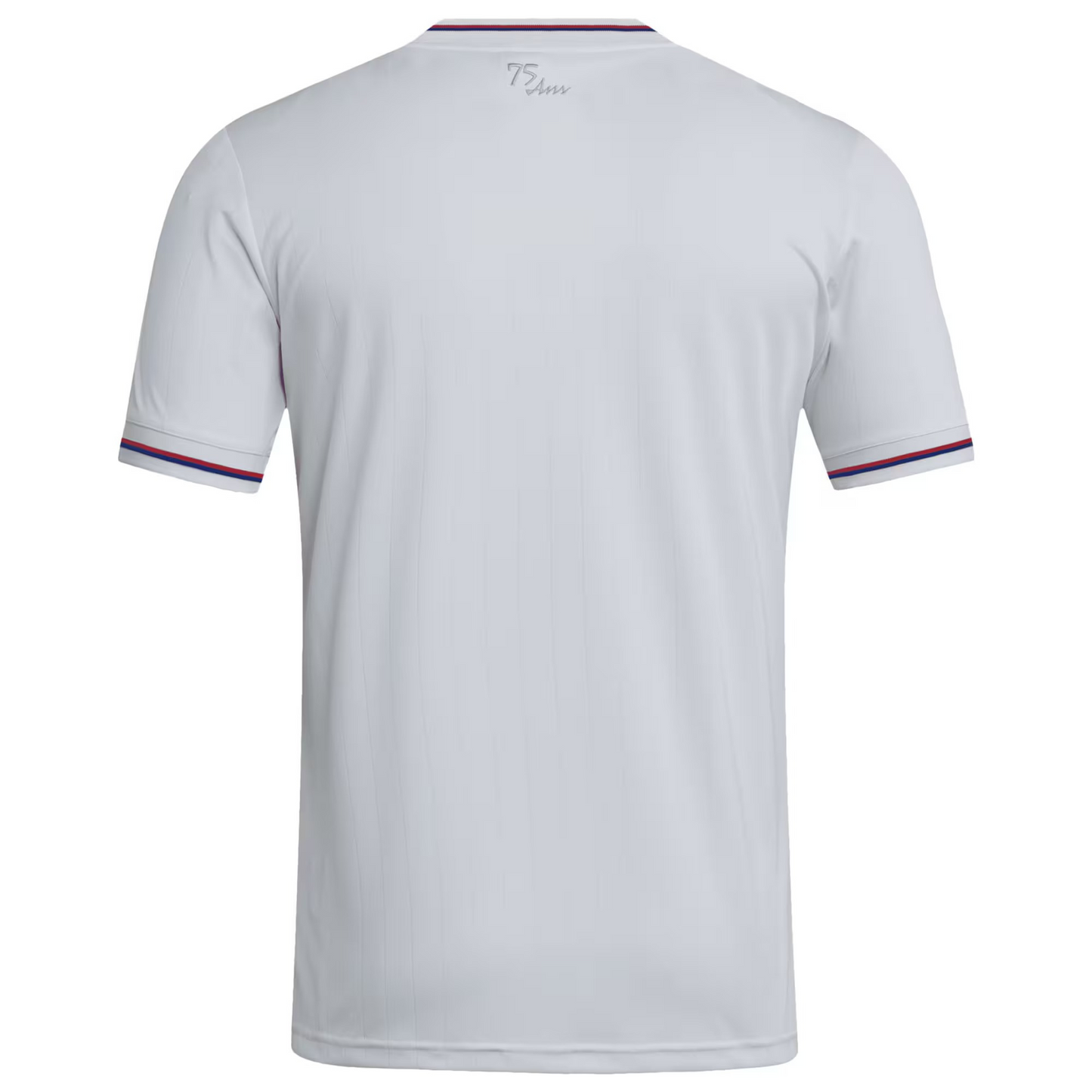 Lyon 2025/26 third football jersey back view with collar detail and name-set panel