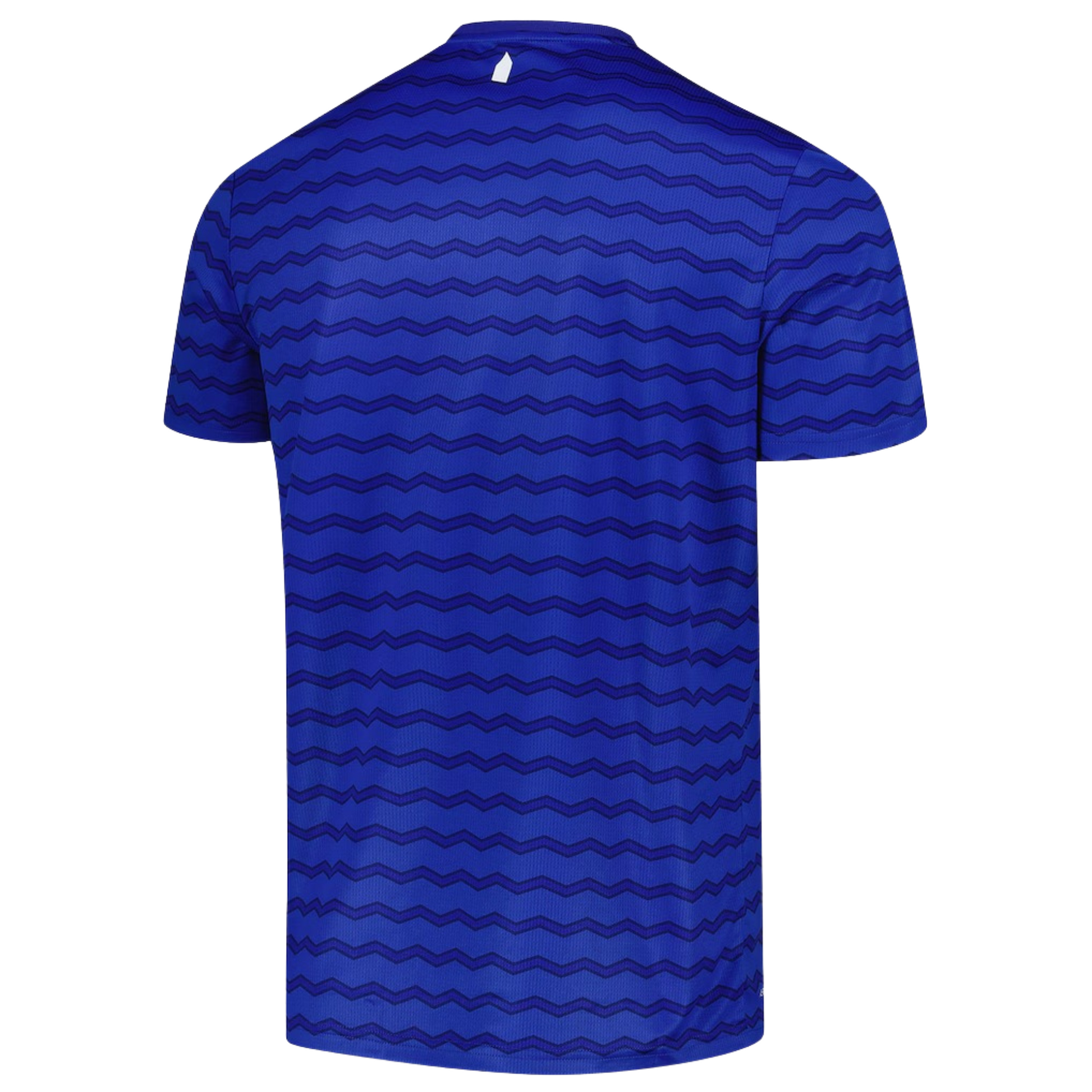 Everton 2025/26 home football jersey back view showing collar and name-set panel